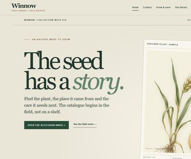 Winnow website preview