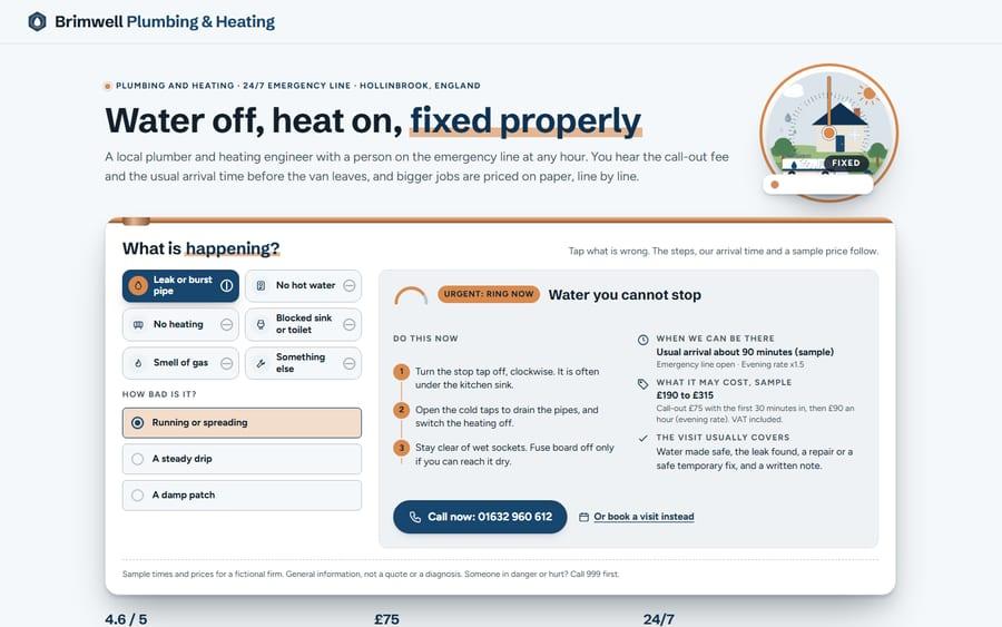 Brimwell website preview