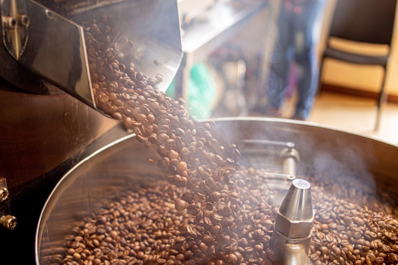 Freshly roasted beans pouring from a roaster drum into the cooling tray