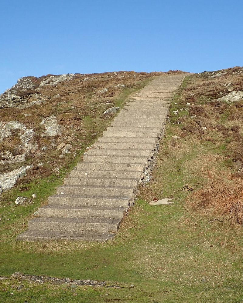 A long flight of steps climbing a grassy hillside under a blue sky