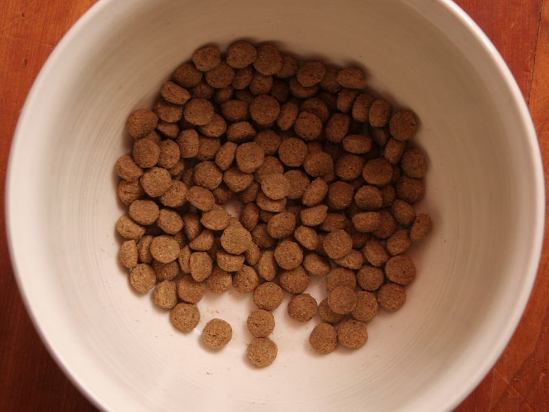 A white bowl of dry dog food