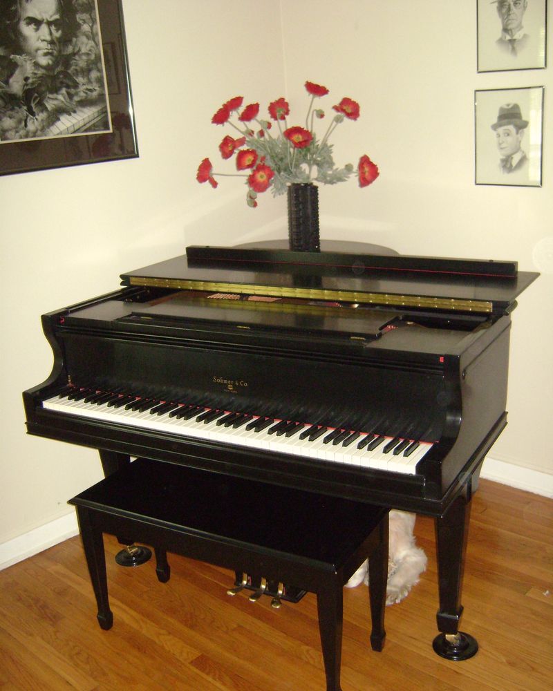 A black grand piano with a vase of red flowers on top