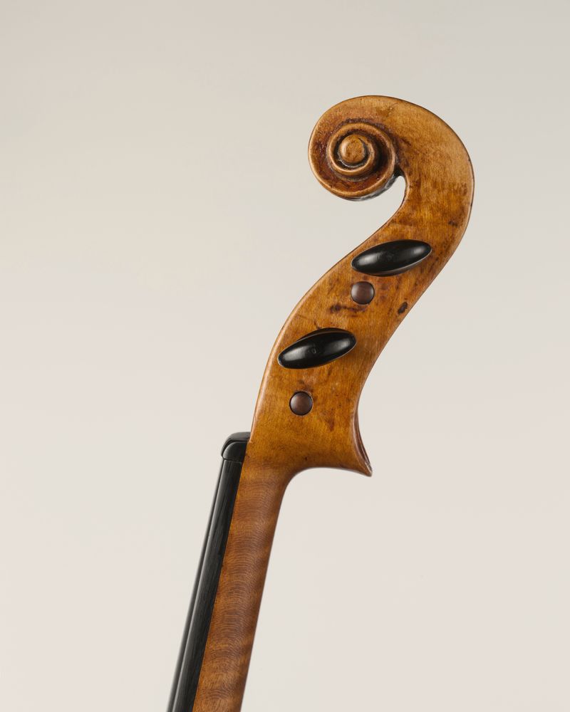 The carved scroll and pegbox of a violin on a pale ground