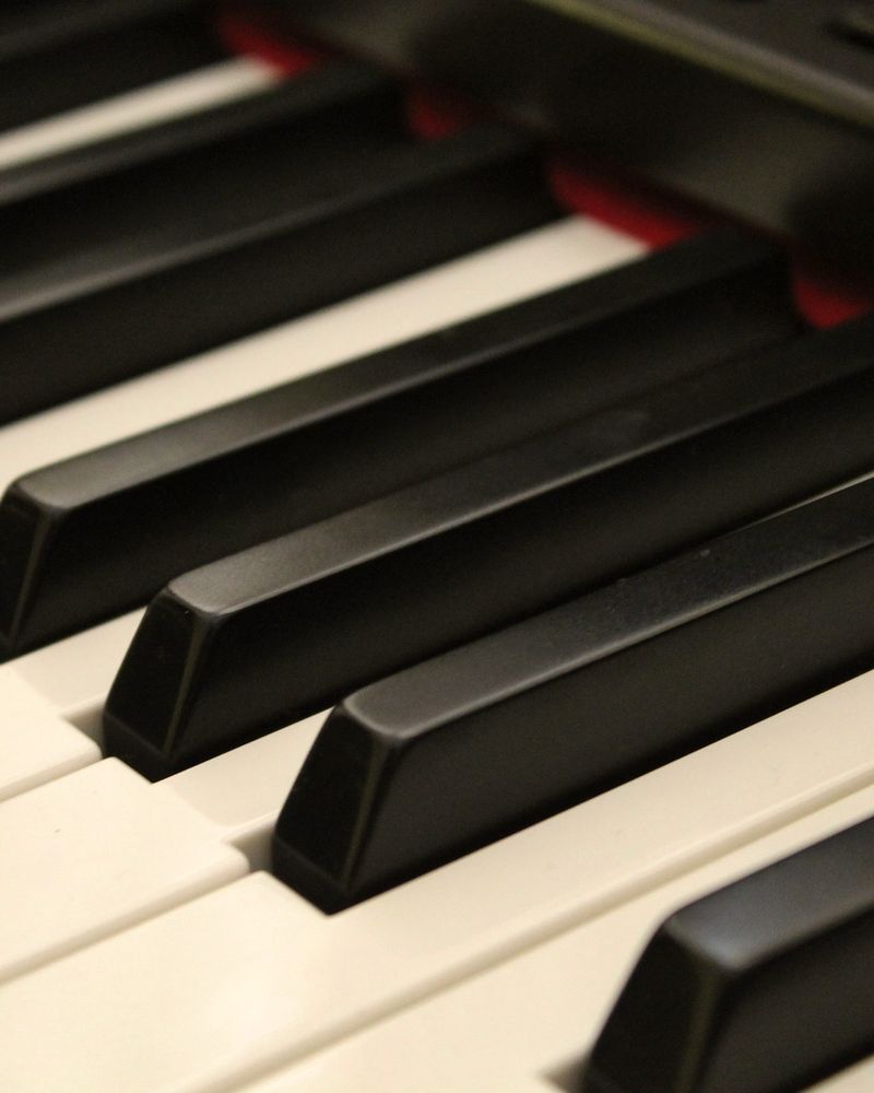Close-up of black and white piano keys