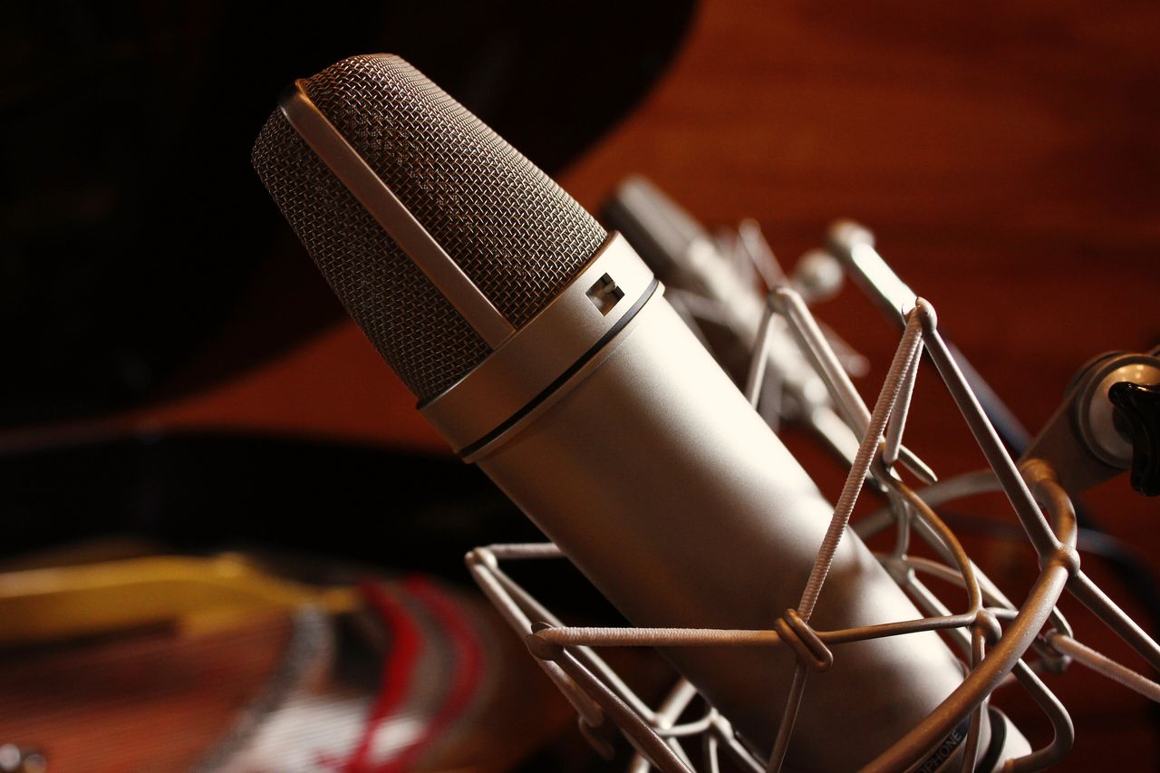 A large condenser microphone in a shock mount in a studio
