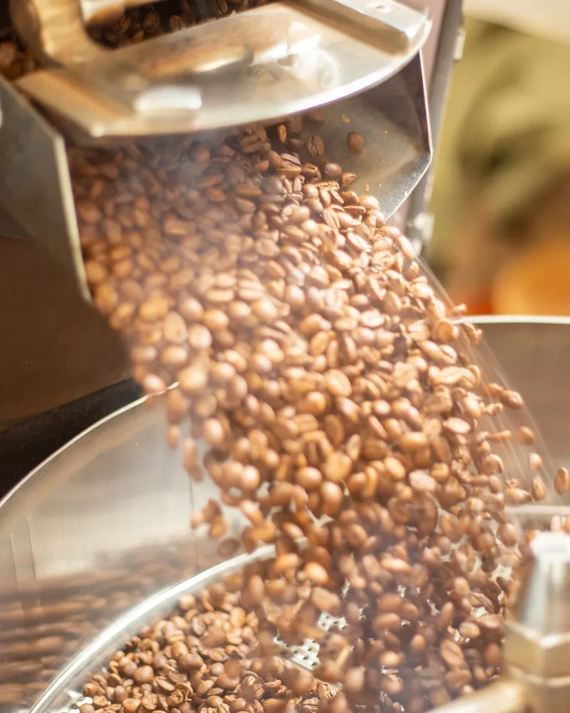 Hot roasted coffee beans pouring from the drum into the cooling tray.