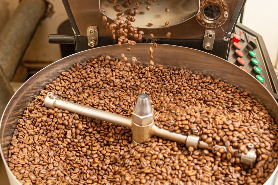 Freshly roasted coffee beans turning in a roaster's stainless steel cooling tray.