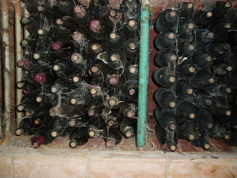 Wine bottles lying in a brick cellar rack