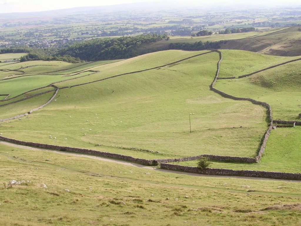 A dry-stone wall curving across green fields in North Yorkshire