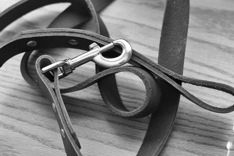 A black dog lead with a metal clip lying coiled on wooden boards, in black and white
