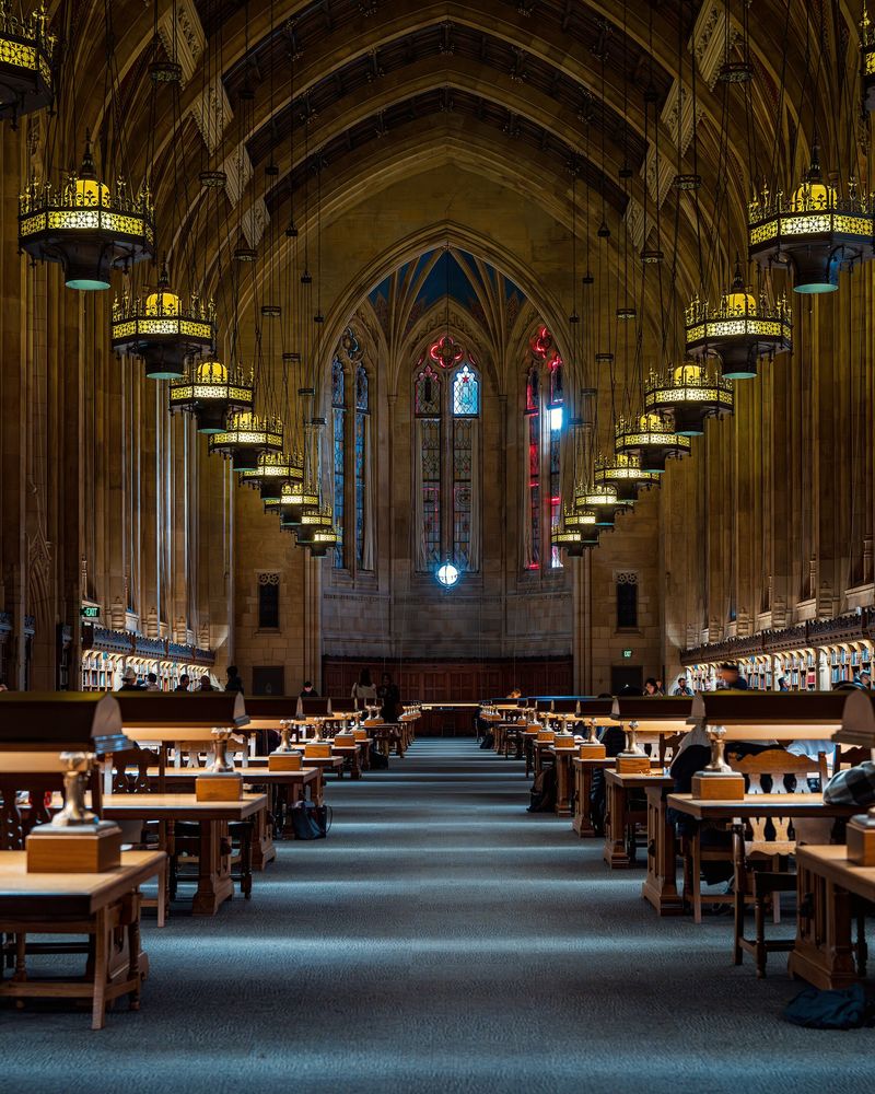 A vaulted gothic reading room with hanging lamps