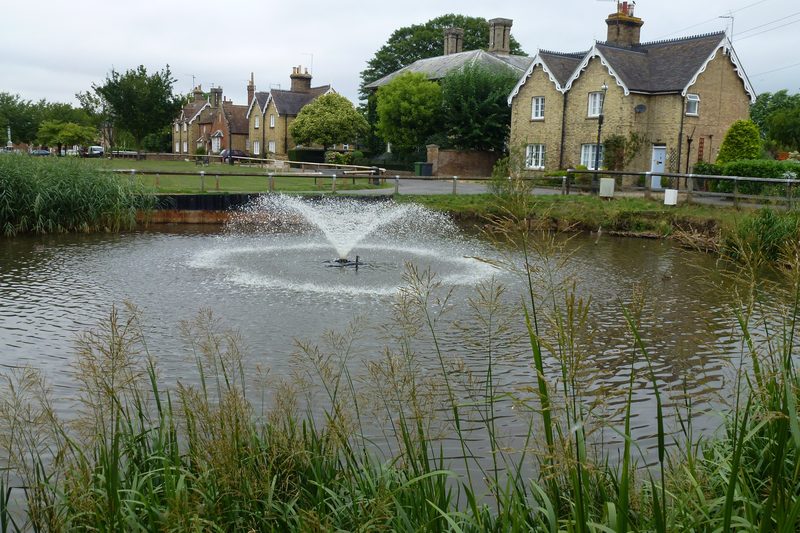 Village pond with a fountain, reeds and houses around a church green