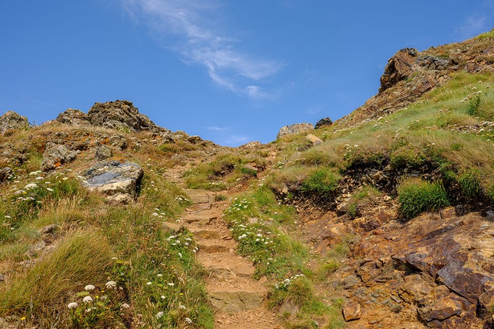 A stepped footpath climbing a rocky, flowering hillside under a blue sky