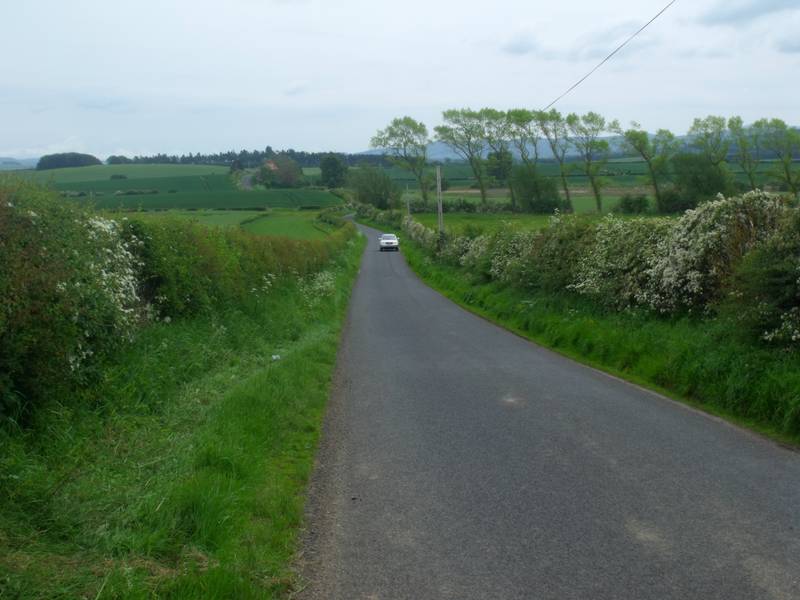 A quiet country lane running between hedgerows and green fields, with one car far off in the distance.