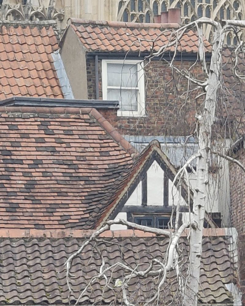 Old clay-tiled roofs, a small timber-framed gable and a bare birch tree in York