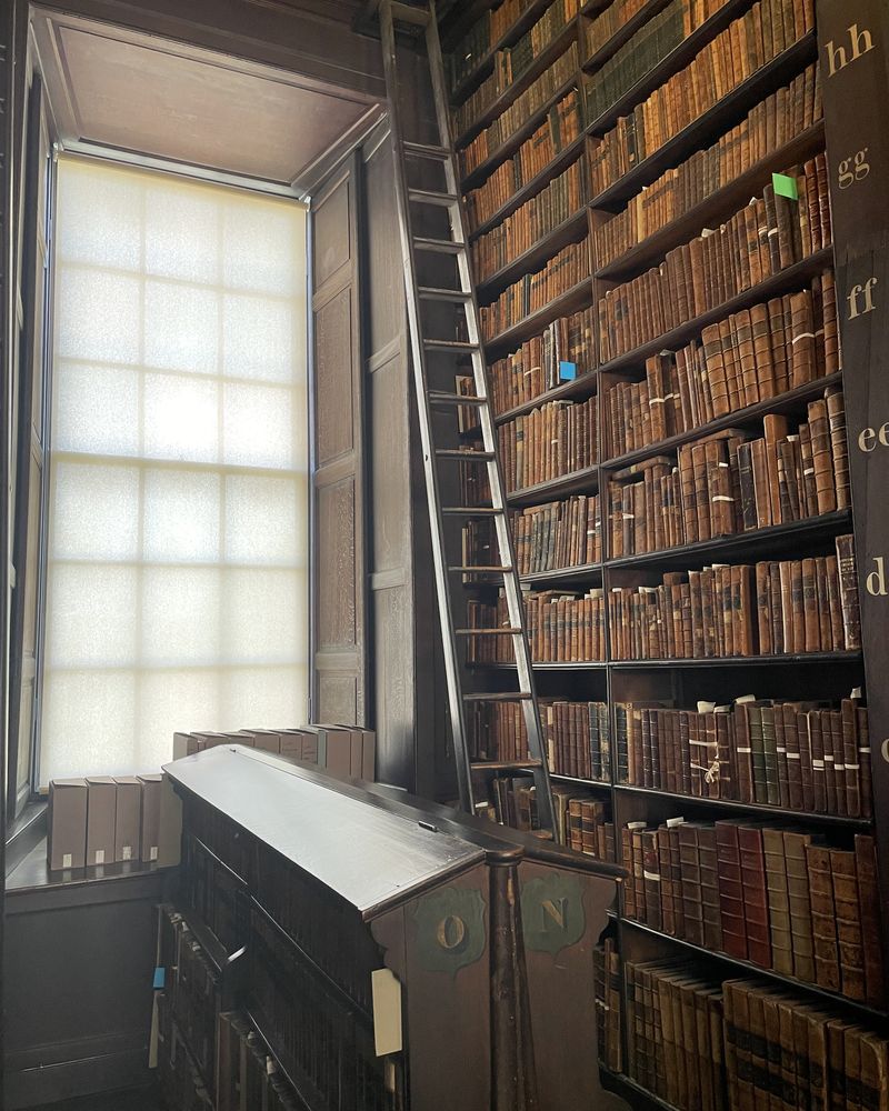 A tall window beside dark wooden shelves of old books and a library ladder
