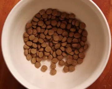 Dry dog kibble in a white bowl, seen from above