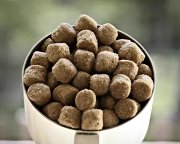 Close view of round dry dog kibble heaped in a white bowl