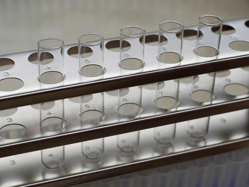 Rows of empty glass test tubes standing in a white rack