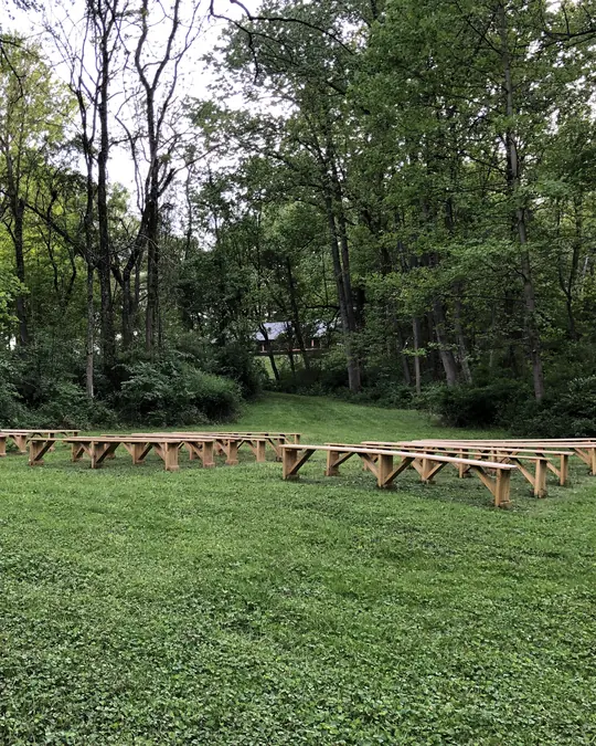 A grassy woodland clearing with rows of log benches set out for a ceremony