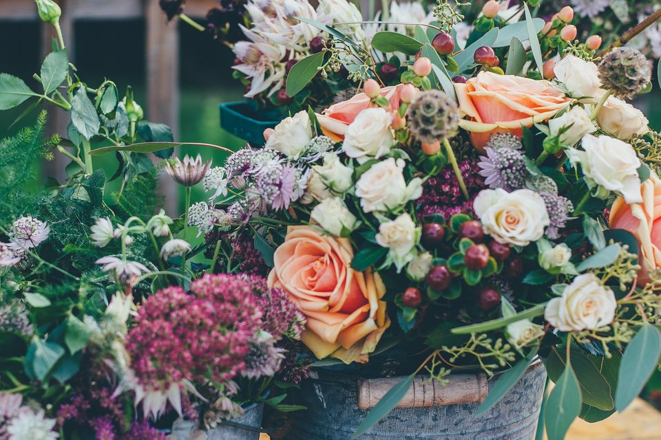 Garden roses, scabious and mixed summer flowers gathered in zinc buckets